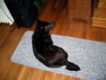 Shadow